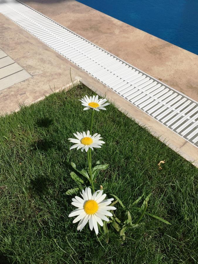 Casa Pallet Hotel (Adults Only) Dalyan Eksteriør billede