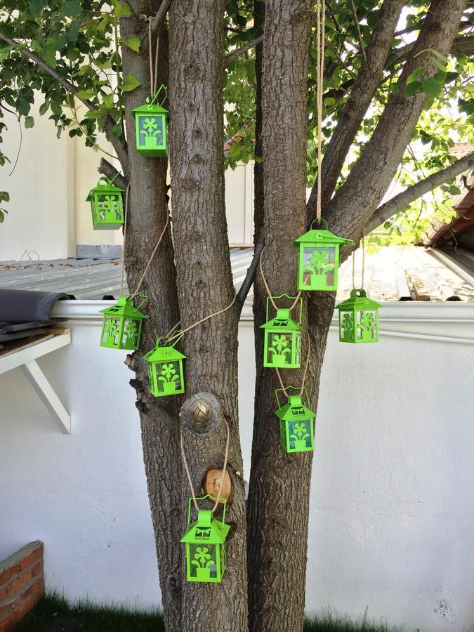 Casa Pallet Hotel (Adults Only) Dalyan Eksteriør billede